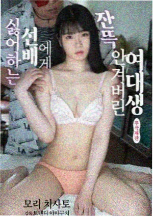 韩小圈人物条目专访合集封面
